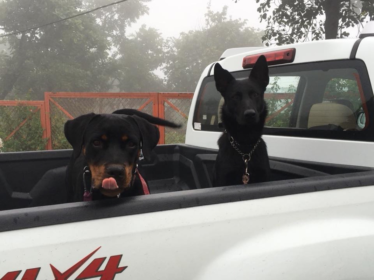 Furventures - Pet Adventures & Events - Photo 77